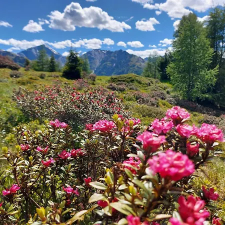 Haus Edelweiss Bei Samnaun Spiss