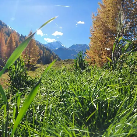 Haus Edelweiss - Ferienhaus