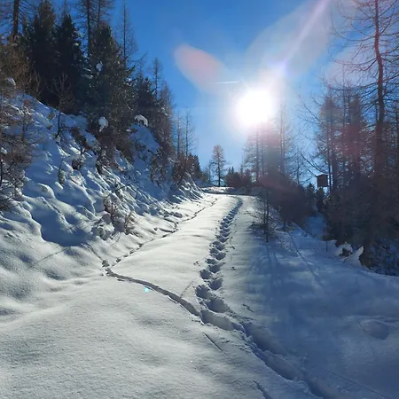 Haus Edelweiss Alpine Near Samnaun * Spiss