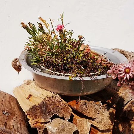 Tatil Evi Haus Edelweiss Bei Samnaun
