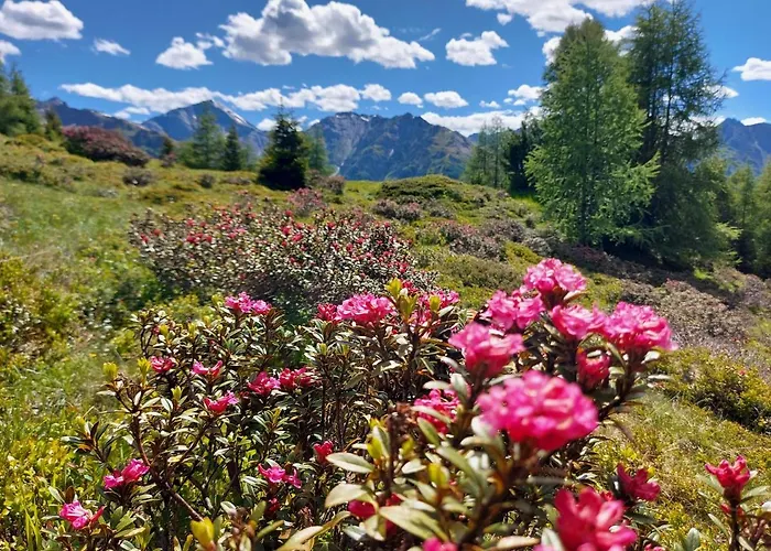 Haus Edelweiss Bei Samnaun Spiss