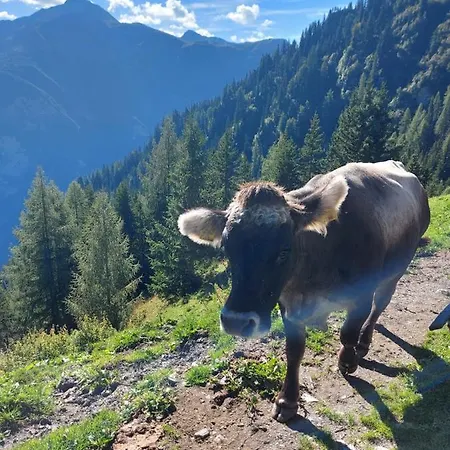 Haus Edelweiss Bei Samnaun * Spiss