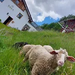 Haus Edelweiss Bei Samnaun Hébergement de vacances Spiss